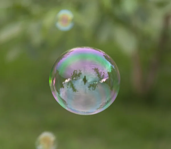 Радужный мыльный пузырь — стоковое фото