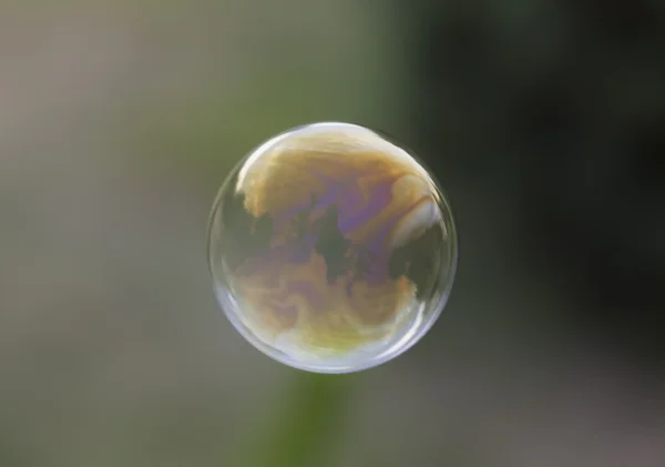 Regenbogen-Seifenblase — Stockfoto