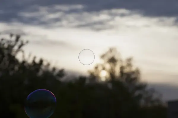 Regenbogen-Seifenblase — Stockfoto