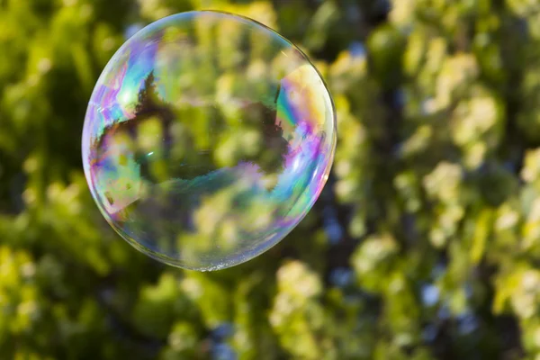 Regenbogen-Seifenblase — Stockfoto