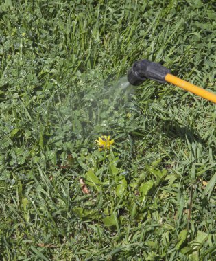 Böcek ilacı püskürtme aygıtı.