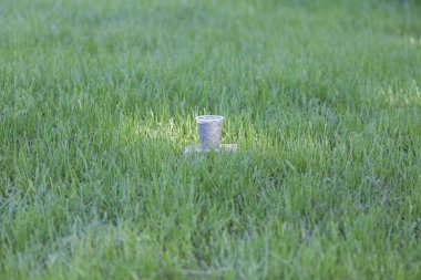 Gübre çimenlerin üzerinde.