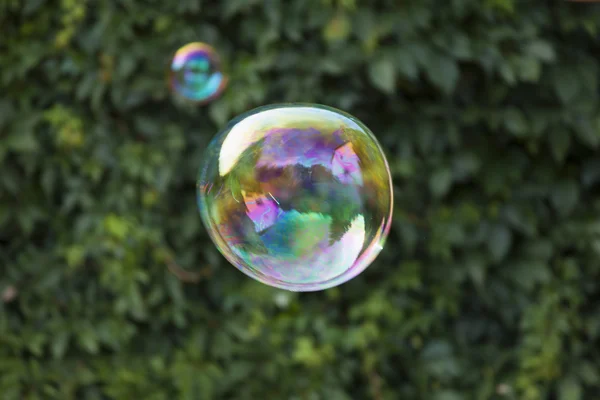 Regenbogen-Seifenblase — Stockfoto