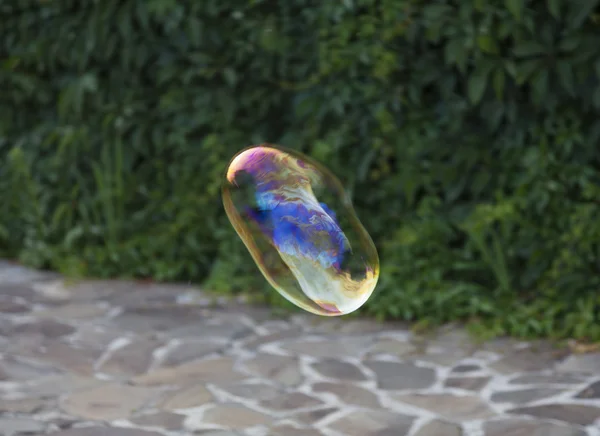 Szivárvány szappan-buborék — Stock Fotó