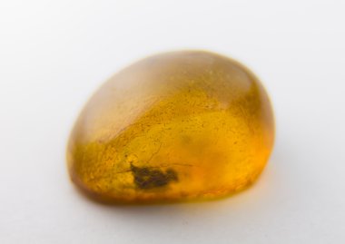 Amber beyaz zemin üzerine.