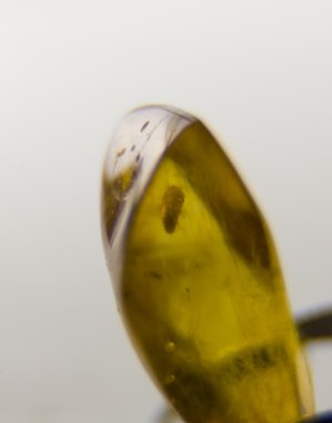 Amber yakın çekim.