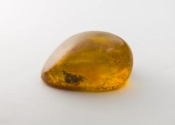 Amber on a white background. — Stock Photo, Image