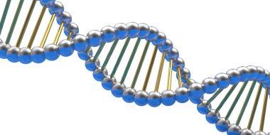 Beyaz üzerine gümüş DNA sarmalı. 3d illüstrasyon 