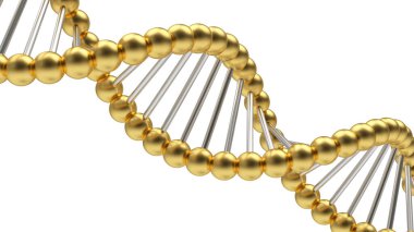 Beyaz üzerine altın DNA sarmalı. 3d illüstrasyon 