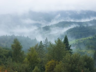 beautiful autumn landscape in mountains