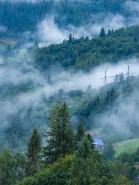 Güzel dağ manzarası ile sis