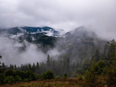 Sisli sonbahar dağ manzarası Ağaçlar ve dağlarla sisli
