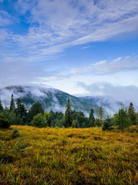 Karpat Dağları 'ndaki güzel dağ manzarası. Sonbahar sezonu. Doğa, seyahat ve turizm.