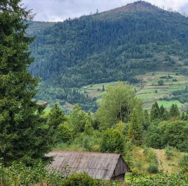 Karpatların güzel manzarası, Ukrayna