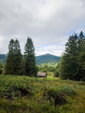 Karpatlar 'daki Karpatlar' ın güzel manzarası. ukraine.