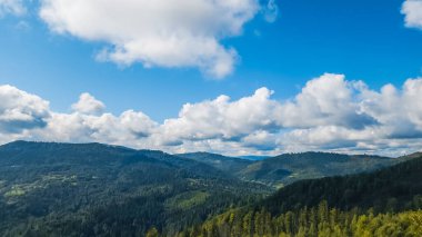 Güzel yeşil orman ve mavi gökyüzü manzarası