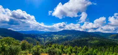 Yeşil orman ve dağ sırası. Güzel manzara. yaz.