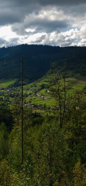 Sonbahar ormanı ve akşamları dağ manzarası