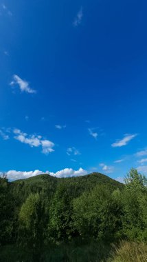 Ormanda dağları olan güzel bir manzara.