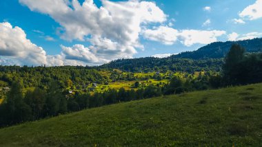 Ağaçlar ve dağlarla çevrili yeşil bir çayırın güzel bir görüntüsü.