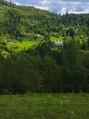 Ormandaki dağlarla çevrili bir çayırda güzel bir yeşil çimen görüntüsü.