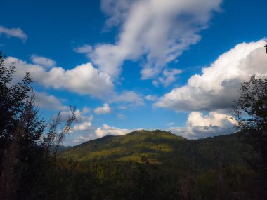 Karpatlar 'daki dağların güzel manzarası
