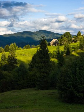 Dağ sırası olan güzel bir manzara.