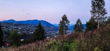 Bir dağ sırası ve ormanı olan güzel bir manzara.