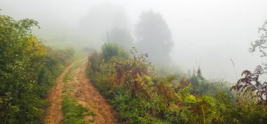 Dağlarda sisli bir sabah