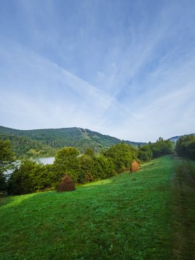 Ağaçlarla dolu bir tarlası ve bulutlu bir gökyüzü olan güzel bir manzara.