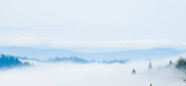 Dağlarda sisli bir sabah