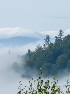 Dağların güzel manzarası