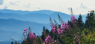 Dağlarda dağları olan güzel bir manzara.