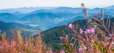 Güzel dağ manzarası. Seyahat,
