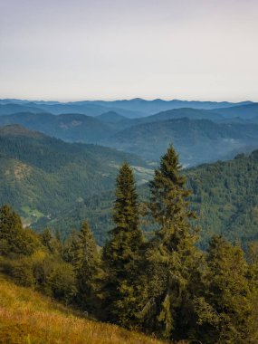 beautiful landscape from the mountain