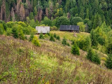 Karpat dağlarında sonbahar