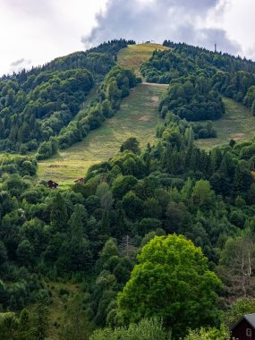 Güzel yeşil ormanları olan dağ manzarası