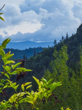 Dağların güzel manzarası