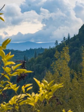 Ukraynalı Karpatların Dağ manzarası.
