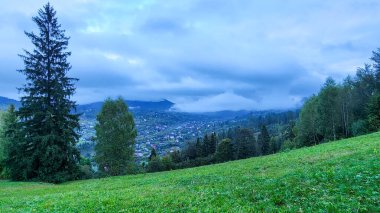 Sisli bir sabahta dağlardaki yeşil ormanın manzarası