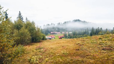 Dağ ormanında küçük bir ev.