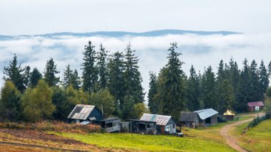 Dağlarda sonbahar manzarası