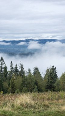 Dağlarda puslu bir sonbahar sabahı