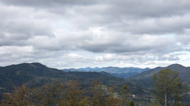 Ukrayna Karpatlarının dağlarından manzara