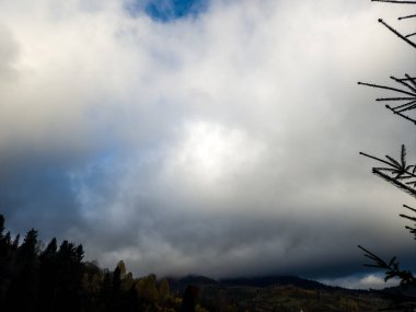 Mavi gökyüzü ile sonbahar ağaçlar