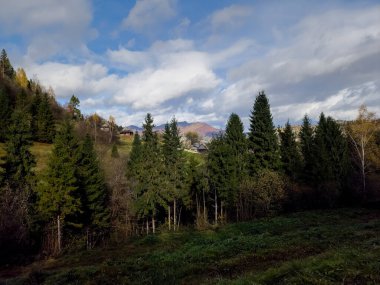 Ukrayna Karpatlarının dağlarında sonbahar manzarası.