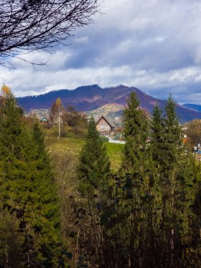 Sonbahar günü, Karpatlar 'ın kırsal kesimindeki güzel dağların dikey görüntüsü, Ukrayna