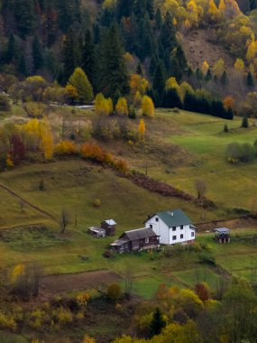Ormanın ortasındaki kırsal bir evin renkli sonbahar manzarası.