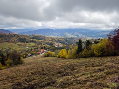 Dağlarda sonbahar manzarası. Karpatyalı, Ukraynalı. Avrupa