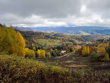 Ormanda dağları ve mavi gökyüzü olan güzel bir manzara.